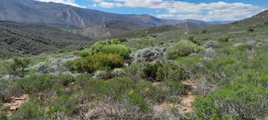 Commercial Property for Sale in Montagu Rural Western Cape